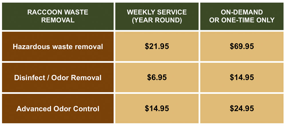 raccoon waste removal prices