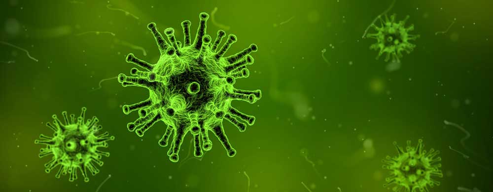 Image of a virus