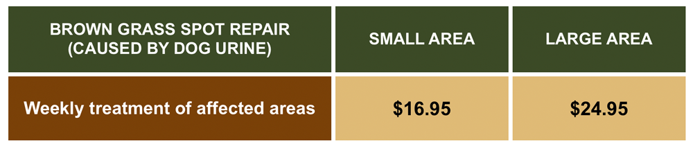 Brown grass spot control prices