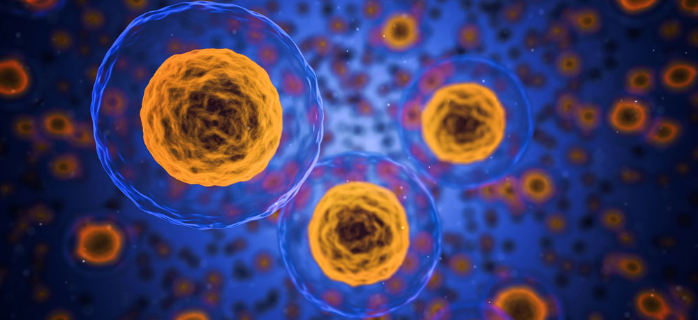 EMF radiation harms cells because cells are electromagnetic entitles Illustration showoiongn cellular effects from EMF radiation