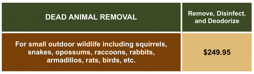Dead animal removal prices Dead animal removal prices