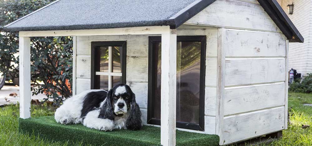 Sgt. Poopers can remove odors from dog houses and dog bedding Image of a dog house