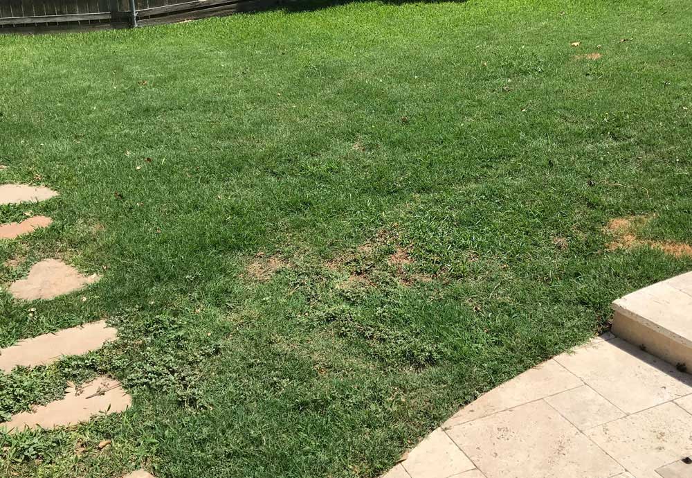 jun 18 2019 lawnburn
