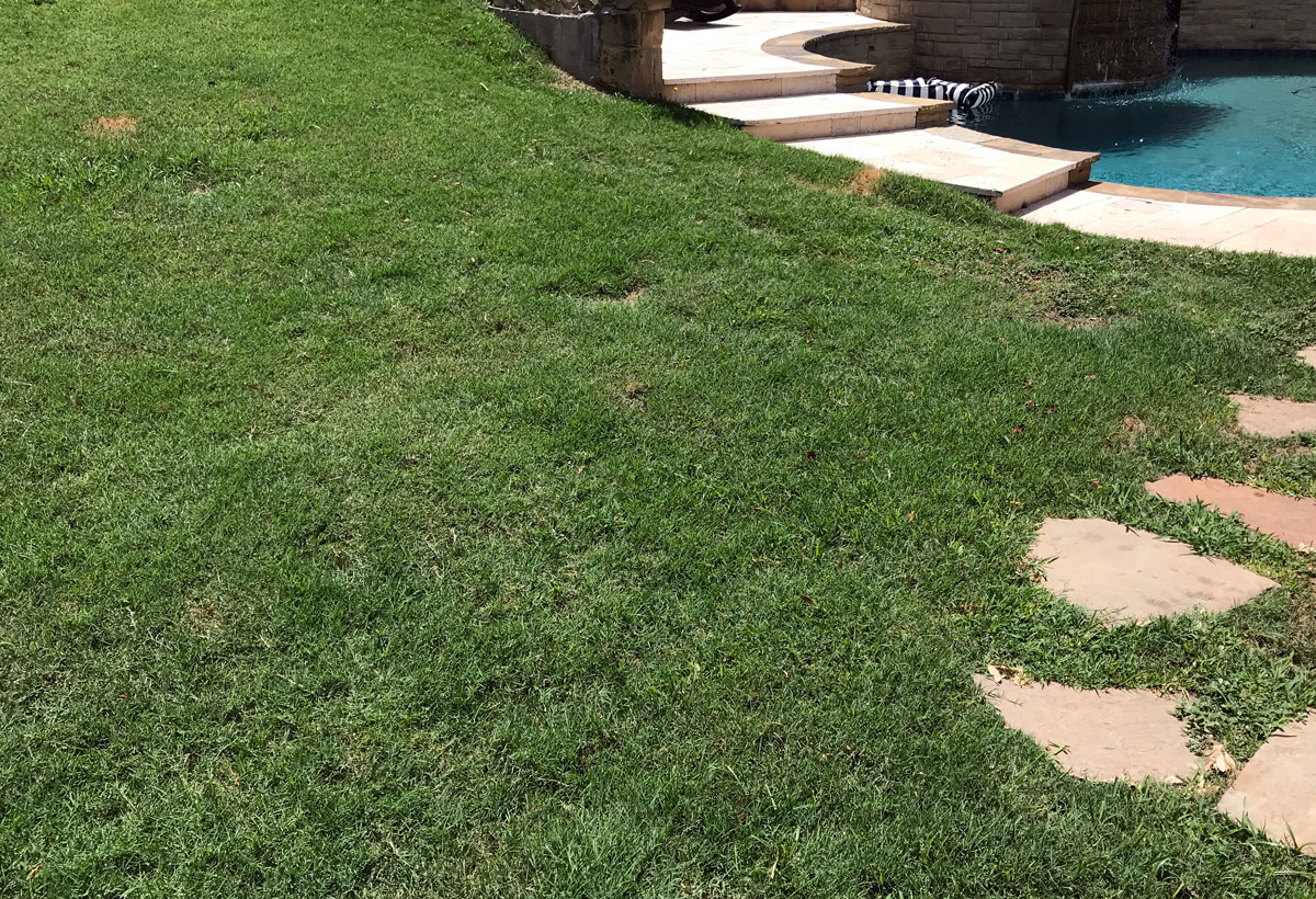 after treatment 06 18 19