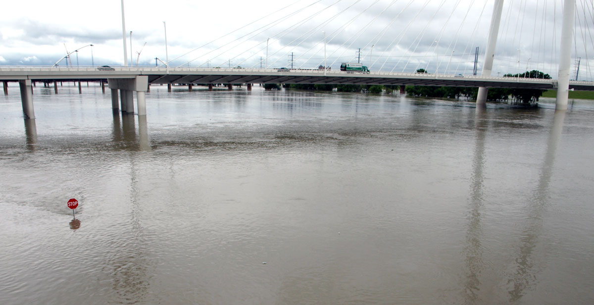 Dog waste poses threat to water