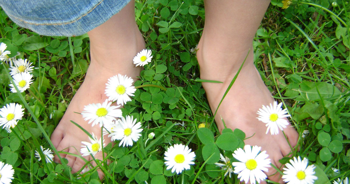 Sgt. Poopers gift certificates are available