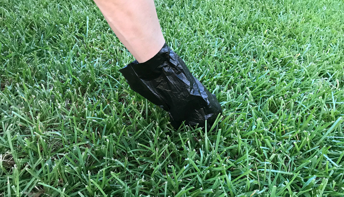 Community-Awareness Campaign