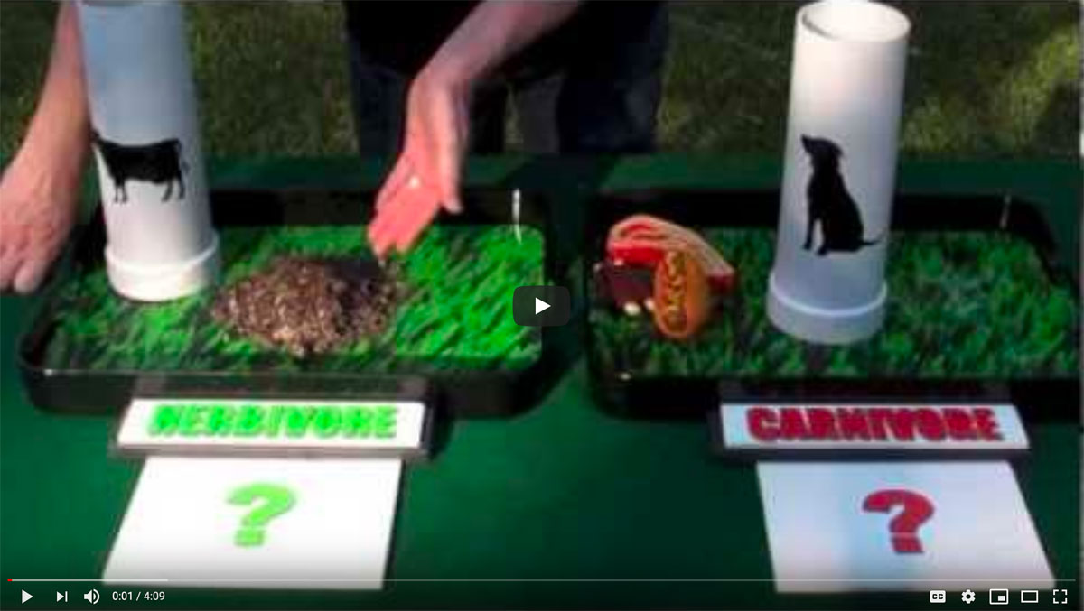 Sgt. Poopers demonstration video