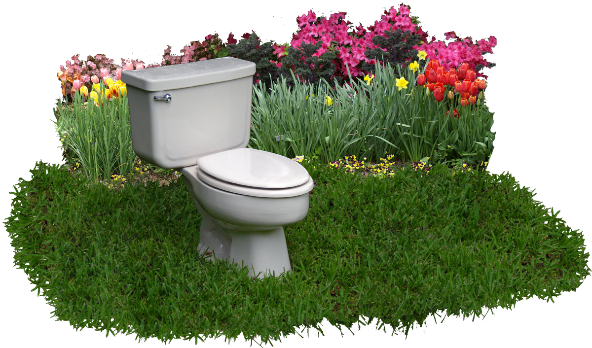 Frequently asked questions