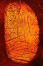 Image of a fingerprint.