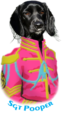 Sgt. Poopers® Mascot, Maria 2006-2017 Sgt. Poopers® Mascot, Maria 2006-2017