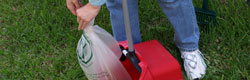 bagging waste