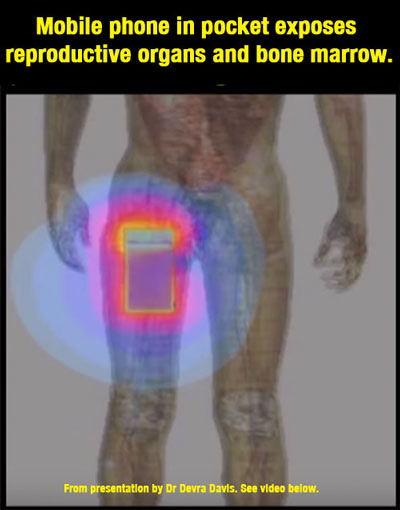 Image of a mobile phone in pocket