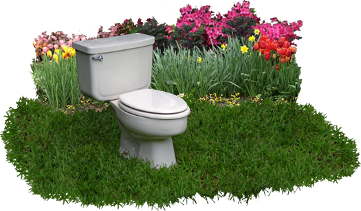 A backyard contaminated with dog waste is really just an open sewer. Image of toilet in a backyard setting