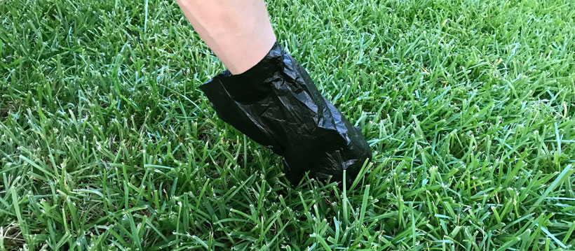 Picking up dog waste Picking up dog waste