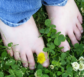 Sgt. Poopers can eliminate outdoor dog waste germs Image of bare feet standing in clean clover.